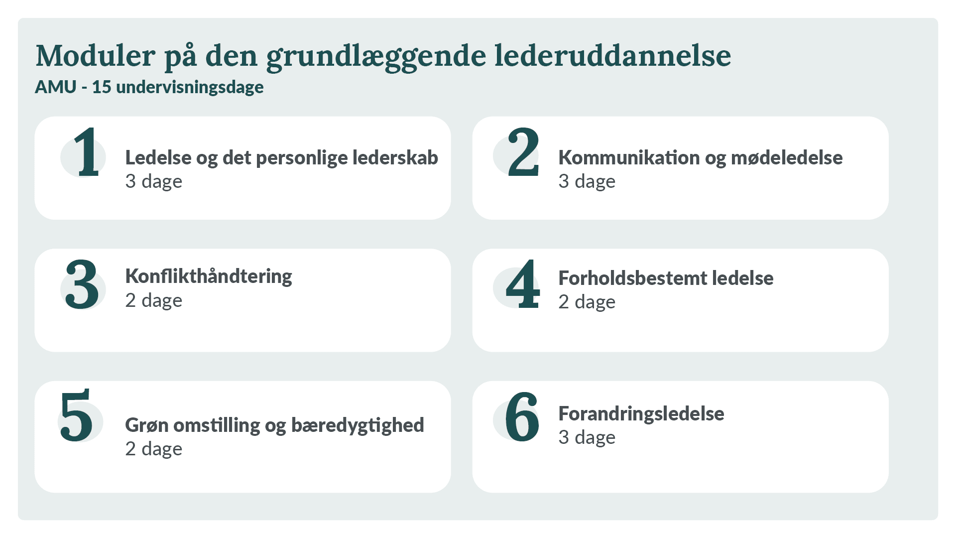 Moduler på den grundlæggende lederuddannelse: Ledelse og det personlige lederskab, Kommunikation og mødeledelse, Konflikthåndtering, Forholdsbestemt ledelse, Grøn omstilling og bæredygtighed samt Forandringsledelse. I alt 15 undervisningsdage.